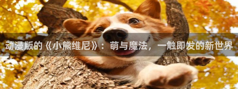 成人伦理动漫电影